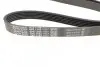 Ремень генератора поликлиновый DAYCO 6PK1163 (фото 2)