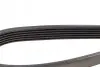 Ремень поликлиновый DAYCO 6PK1165 (фото 3)