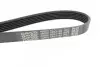 Ремень поликлиновый DAYCO 6PK1185 (фото 3)