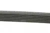 Ремень поликлиновый DAYCO 6PK1215 (фото 2)