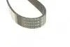 Ремень поликлиновый DAYCO 6PK1320 (фото 3)