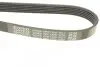 Ремень поликлиновый DAYCO 6PK1320 (фото 4)