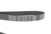 Ремень поликлиновый DAYCO 6PK1341 (фото 4)