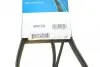 Ремень поликлиновый DAYCO 6PK1352 (фото 6)