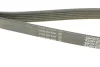 Ремень генератора поликлиновый DAYCO 6PK1360S (фото 3)
