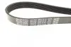 Ремень поликлиновый DAYCO 6PK1415 (фото 3)