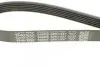 Ремень поликлиновый DAYCO 6PK1437 (фото 4)