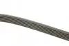 Ремень поликлиновый DAYCO 6PK1510 (фото 2)