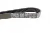 Ремень поликлиновый DAYCO 6PK1590 (фото 3)