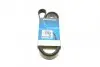 Ремень поликлиновый DAYCO 6PK1613 (фото 1)