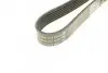 Ремень поликлиновый DAYCO 6PK1613 (фото 3)