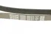 Ремень поликлиновый DAYCO 6PK1613 (фото 4)