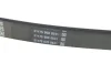 Ремень поликлиновый DAYCO 6PK1640 (фото 3)