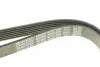 Ремень поликлиновый DAYCO 6PK1660 (фото 4)