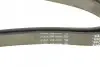Ремень поликлиновый DAYCO 6PK1760 (фото 4)