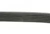 Ремень поликлиновый DAYCO 6PK1815 (фото 6)