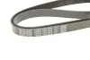 Ремень поликлиновый DAYCO 6PK1830 (фото 4)