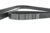 Ремень генератора поликлиновый DAYCO 6PK1985S (фото 4)