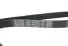 Ремень генератора поликлиновый DAYCO 6PK2063 (фото 4)