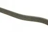 Ремень генератора поликлиновый DAYCO 6PK2120HD (фото 2)
