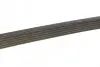 Ремень поликлиновый DAYCO 6PK2155S (фото 4)