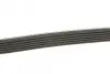 Ремень поликлиновый DAYCO 6PK2160 (фото 2)