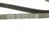 Ремень поликлиновый DAYCO 6PK2160 (фото 4)