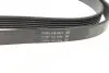 Ремень поликлиновый DAYCO 6PK2170 (фото 3)