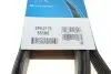 Ремень поликлиновый DAYCO 6PK2170 (фото 6)