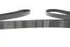 Ремень поликлиновый DAYCO 6PK2175 (фото 4)