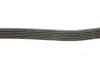 Ремень поликлиновый DAYCO 6PK2210 (фото 3)
