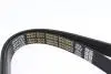 Ремень генератора поликлиновый DAYCO 6PK2225HD (фото 2)