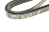 Ремень поликлиновый DAYCO 6PK2550 (фото 5)