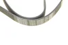 Ремень поликлиновый DAYCO 6PK885 (фото 5)