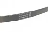 Ремень поликлиновый DAYCO 6PK915 (фото 3)