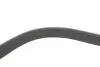 Ремень поликлиновый DAYCO 7PK1051EE (фото 3)