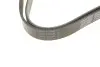 Ремень поликлиновый DAYCO 7PK1673S (фото 4)