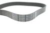Ремень поликлиновый DAYCO 7PK1741S (фото 4)