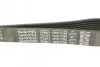 Ремень поликлиновый DAYCO 7PK1790 (фото 4)