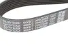 Ремень поликлиновый DAYCO 7PK2285 (фото 4)