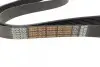 Ремінь генератора поліклиновий DAYCO 8PK1425HD (фото 3)