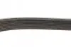 Ремень генератора поликлиновый DAYCO 8PK1691HD (фото 3)