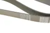 Ремень поликлиновый DAYCO 8PK2190 (фото 5)