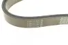 Ремень поликлиновый DAYCO 8PK2465 (фото 3)