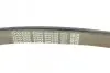 Ремень поликлиновый DAYCO 8PK2465 (фото 4)