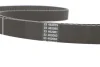 Ремінь зубчастий (довж. 60-150) DAYCO 94866 (фото 4)