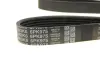 Комплект ременя генератора DAYCO KPV333 (фото 5)