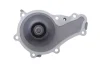 Комплект ГРМ + помпа Citroen Berlingo/C4/C3/C5/Jumpy/Peugeot Partner/206/307/308 1.6HDI 04-(25x137z) DAYCO KTBWP9140 (фото 10)