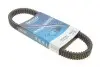 Приводной ремень DAYCO XTX2275 (фото 1)
