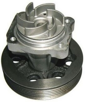 Водяна помпа Fiat, Opel, Suzuki 1.3JTD/CDTI/DDiS 06.03- Denckermann A310509P